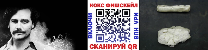Cocaine FishScale  где можно купить   Новая Ляля 