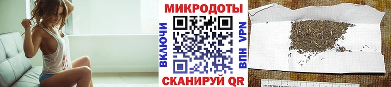 Галлюциногенные грибы Psilocybine cubensis  Новая Ляля 